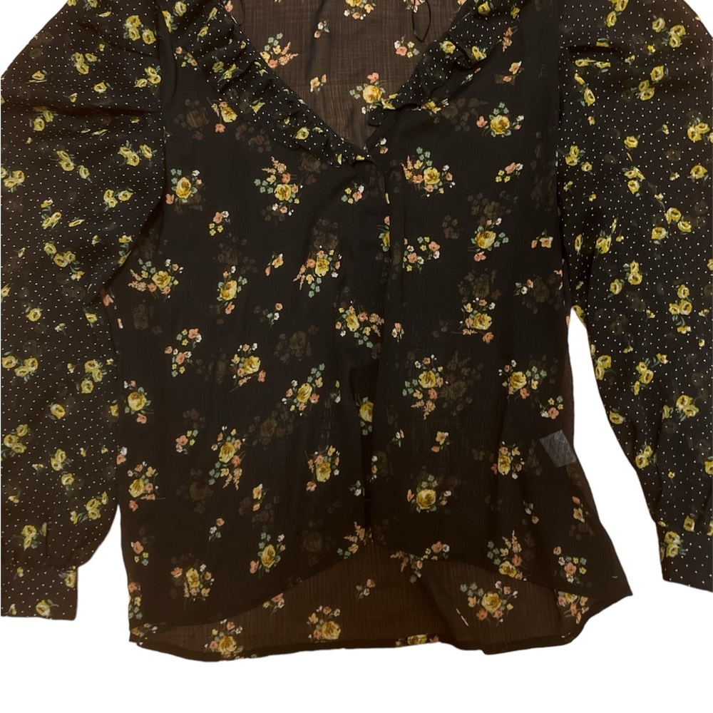 Zara black floral long sleeve sheer blouse
